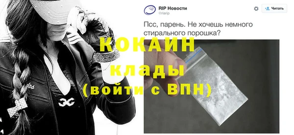гашик Дмитриев