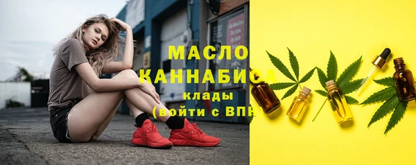 гашик Дмитриев