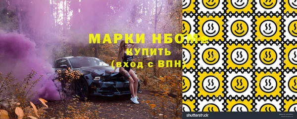хмурый Дмитровск