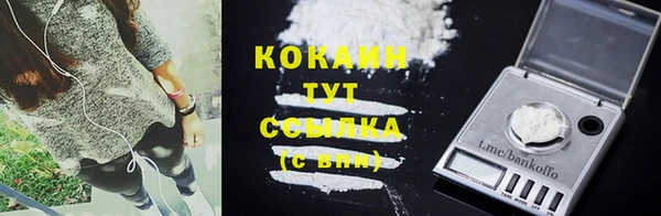 гашик Дмитриев