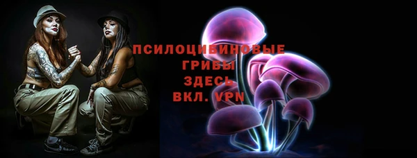 гашик Дмитриев