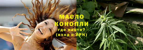 гашик Дмитриев