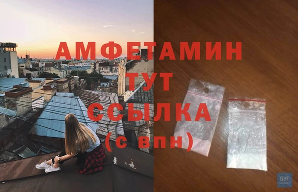 хмурый Дмитровск