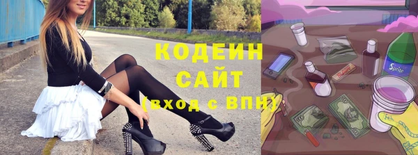 хмурый Дмитровск