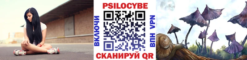 Купить закладки  Среднеуральск  Галлюциногенные грибы ЛСД 